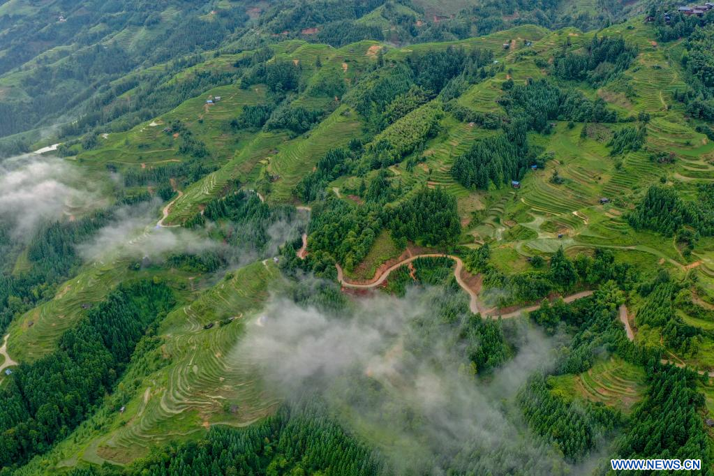 Chine Paysage Des Champs En Terrasses Au Guizhou Xinhua French