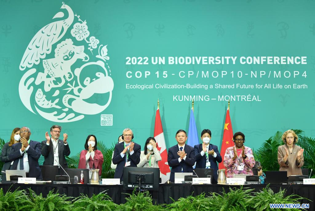 Le Cadre Mondial Pour La Biodiversité De Kunming-Montréal Adopté Lors ...