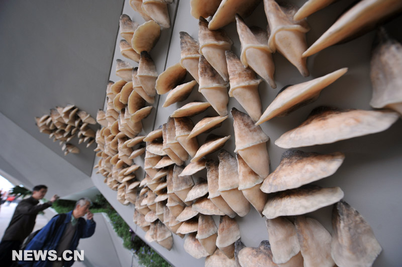 Expo 2010 : aper&ccedil;u du Pavillon du Royaume-Uni