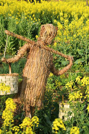 Fleurs de colza dans le sud-ouest de la Chine