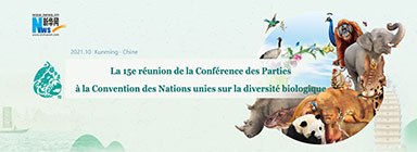 La 15e réunion de la Conférence des Parties à la Convention des Nations unies sur la diversité biologique