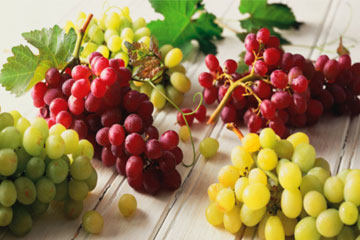 France: la viticulture bio se développe en Alsace