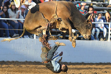 Sports: les photos de l'ann&eacute;e 2012