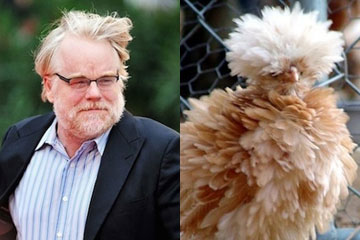 Ils se ressemblent tellement, non?