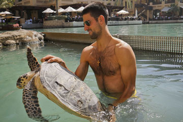 Djokovic s'amuse avec une tortue &agrave; Duba&iuml;