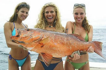 Photos: des poissons impressionants