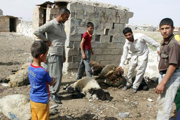 Irak :15 morts et 90 bless&eacute;s dans une nouvelle vague d'attentats