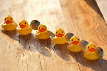Beijing : la fi&egrave;vre des canards jaunes gagne Shichahai