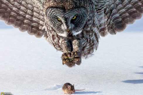 Beaut&eacute; de la Terre : National Geographic