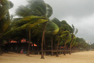 Chine: alerte aux hautes vagues &agrave; l'approche de la temp&ecirc;te tropicale Mangkhut