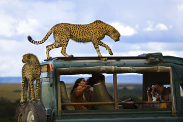 Les gagnants du concours National Geographic Traveler