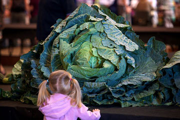 Photos: des l&eacute;gumes extraordinaires