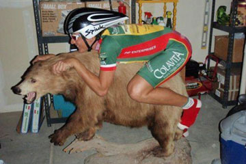 Photos hilarantes des gens stupides