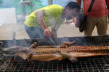 Barbecue de crocodile