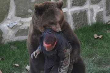 Des attaques impr&eacute;vus d'animaux contre l'homme