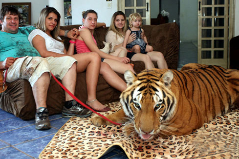 Vivre avec un tigre