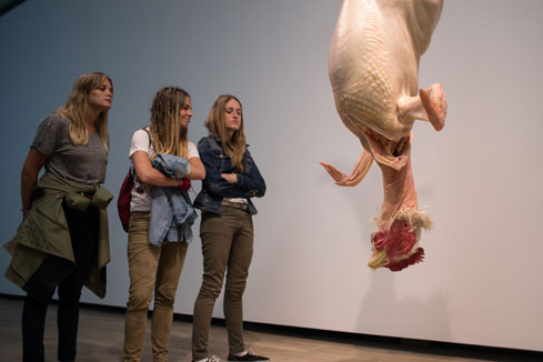 PHOTOS - exposition de l'artiste contemporain Ron Mueck &agrave; Buenos Aires