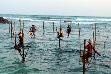 Photos - P&ecirc;cheurs sur pilotis au Sri Lanka