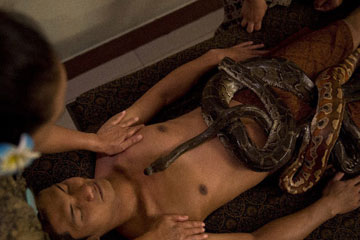 Photos - Se faire masser par des serpents en Indon&eacute;sie