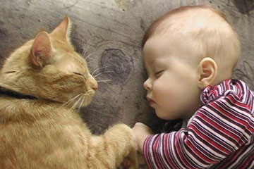Moments tendres: des enfants et des chats
