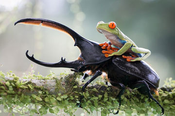 Photos : Sony World Photography Awards 2014