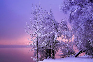 Photos: beaux paysages de l'hiver