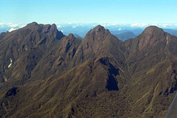 Madagascar: Les for&ecirc;ts humides de l'Atsinanana en p&eacute;ril