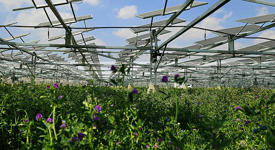 Une centrale photovolta&iuml;que d'un nouveau genre &agrave; Yinchuan