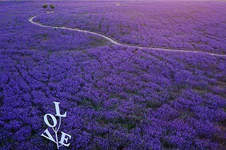 Vue aérienne d'un parc touristique à Yinchuan