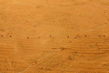 Chine : progr&egrave;s du reboisement du d&eacute;sert en Mongolie int&eacute;rieure