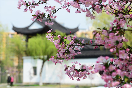 Beaux paysages printaniers en Chine