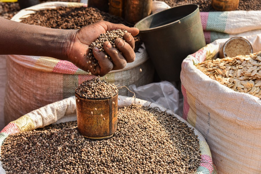 Saison de la récolte du poivre blanc de Penja au Cameroun - Xinhua 