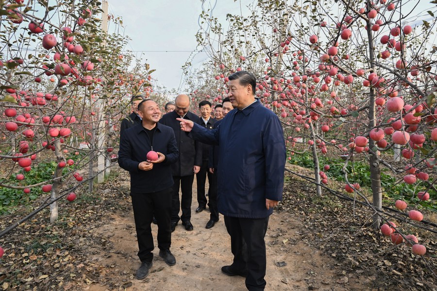 Xi Jinping discute avec un villageois dans un verger du village de Nangou à Yan'an,