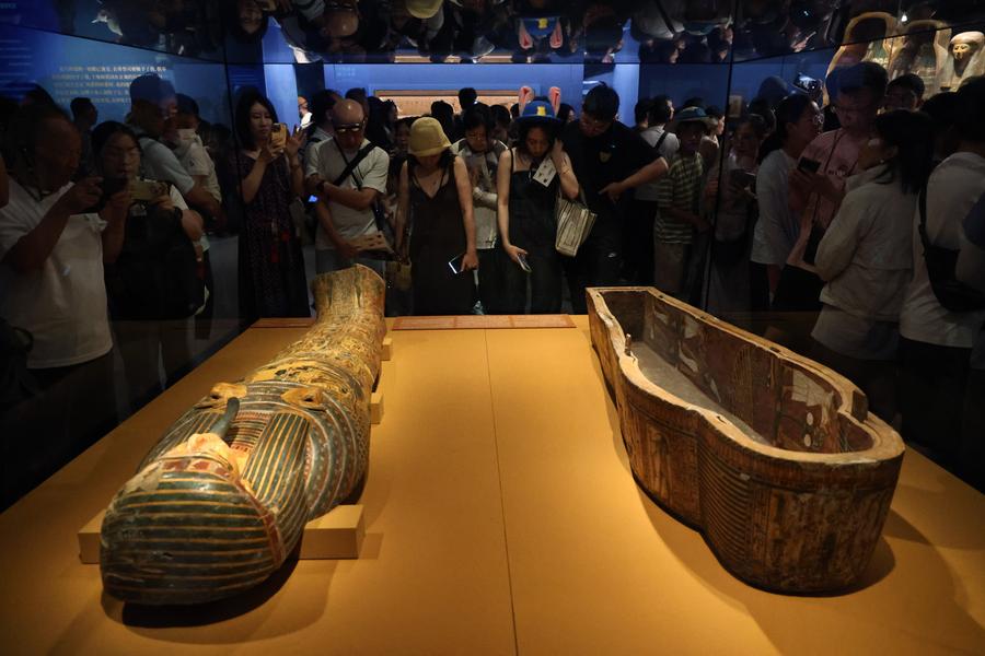 Kit Complet De Tatouage - Stylo Rotatif, Alimentation, Encres, Aiguilles (10 Pièces)