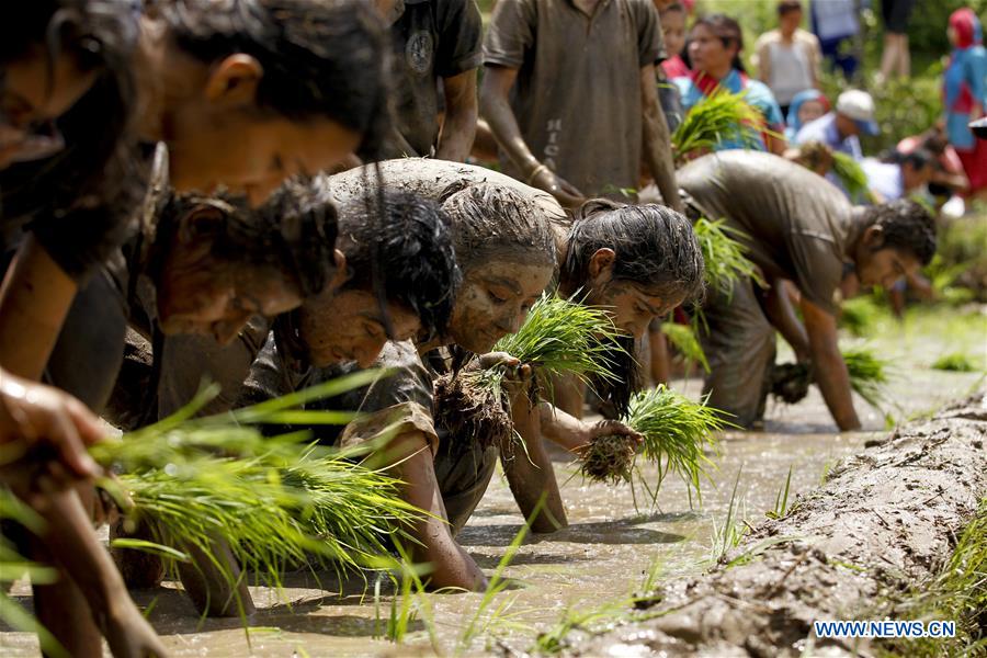 festivalasarpandhraaunépal